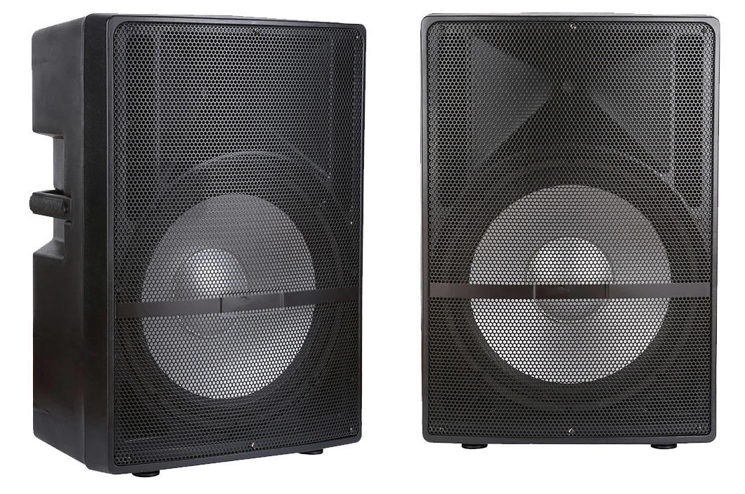 Tws 18inch 300W Amplifier Audio Subwoofer Speaker Box Sub Speaker