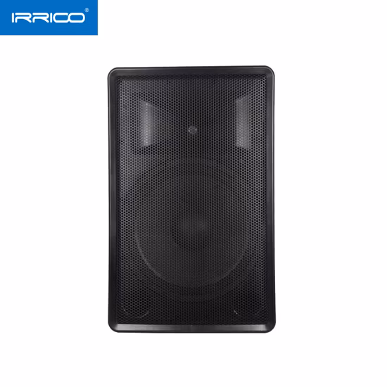Audio 15inch Portable Speaker with Microphone and Line Connector Function Spare Parts Accessories Assemble